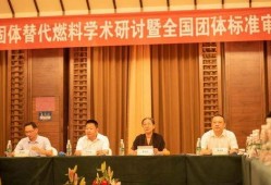 陆河新闻爆料最新情况查询,事件进展及影响全解析