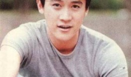 陆毅爆料郑恺原因视频,真相背后的惊人转折